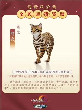寂静天龙八部私服